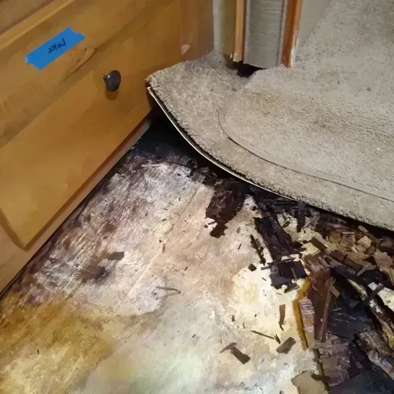 Wood Floor Water Damage in Miller County, AR